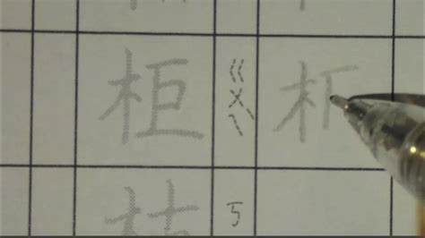 木部的字|木部